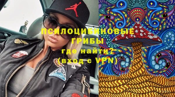 не бодяженный Бородино