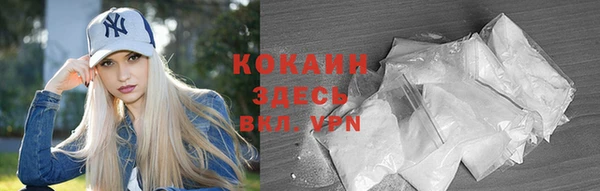 не бодяженный Бородино