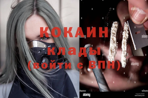 не бодяженный Бородино