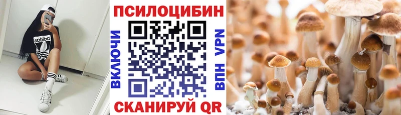 Псилоцибиновые грибы мухоморы  магазин    Приволжский 